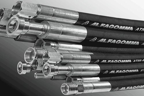 WhatsApp Image 2025-10-10 at 09.17.17_428c8e1a